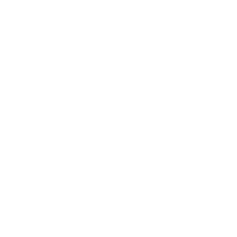 Ocho Siglos
